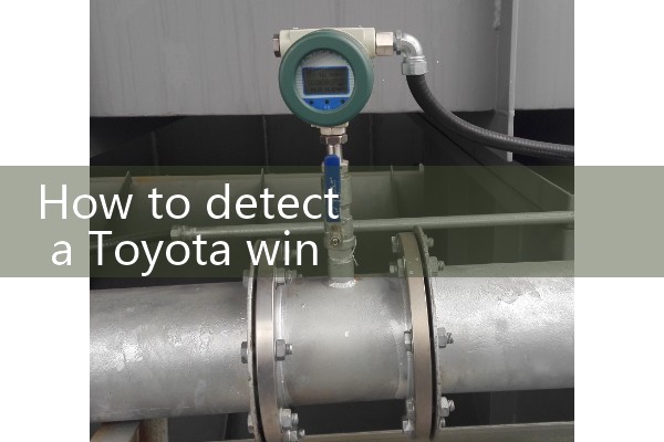 Wing type air flow meter